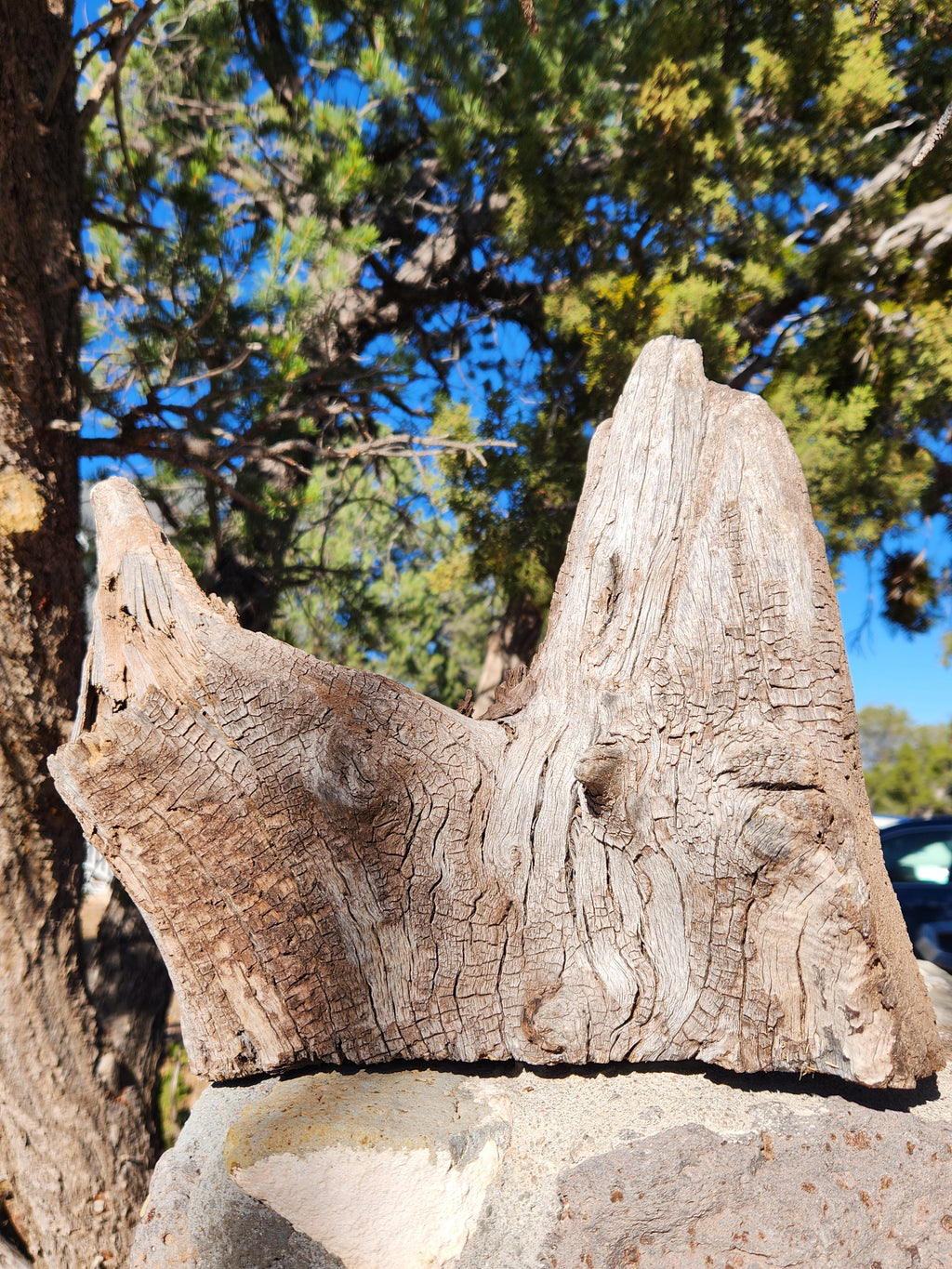 Weathered Oak Chunk