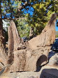 Weathered Oak Chunk