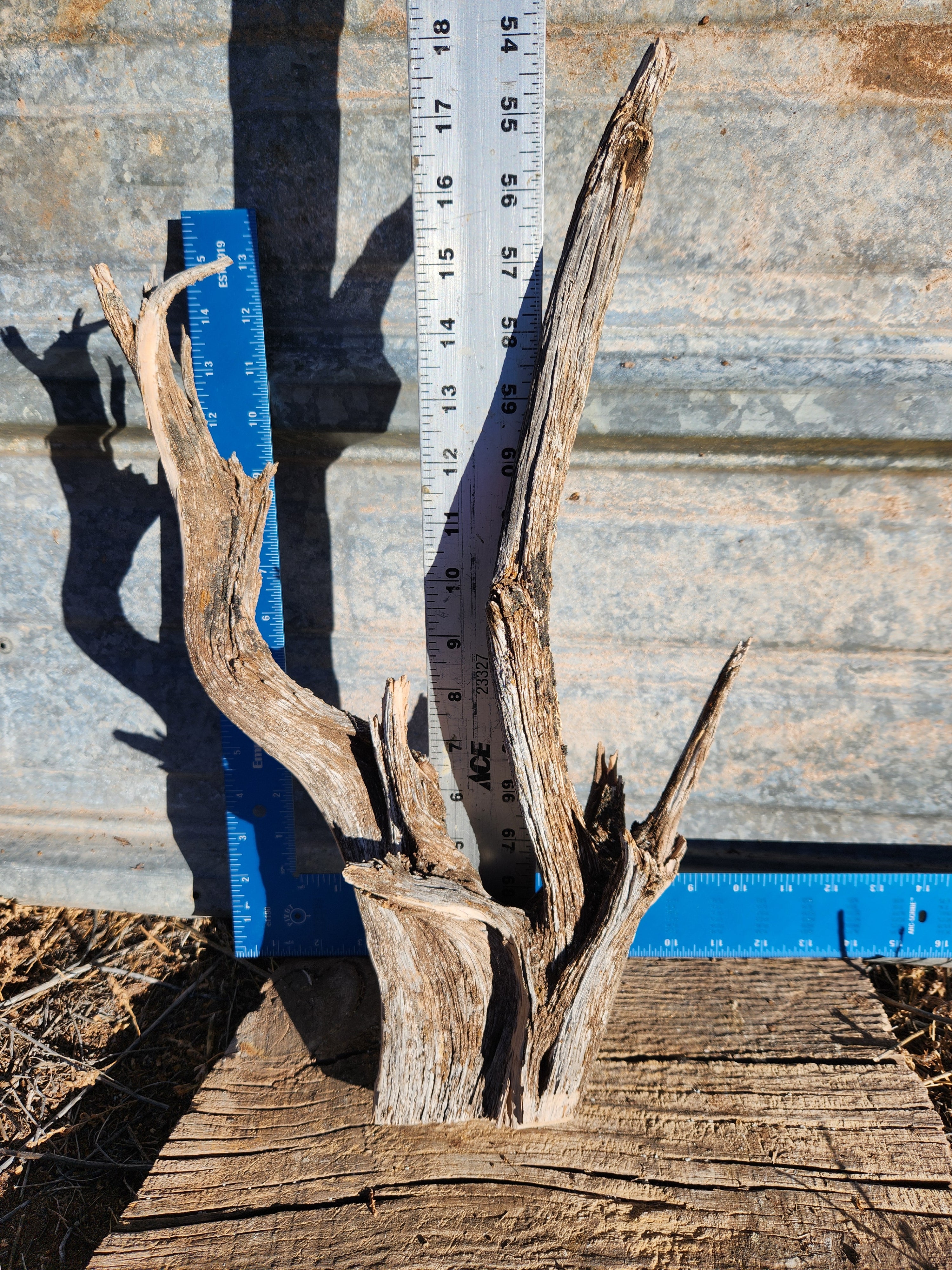 Raw, Sun-bleached Cedar for Crafts and Decor