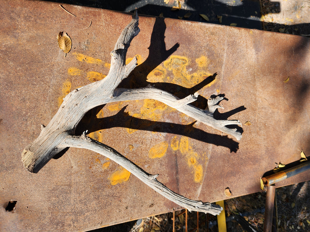 Natural Branch for Crafts, Habitats and Decor