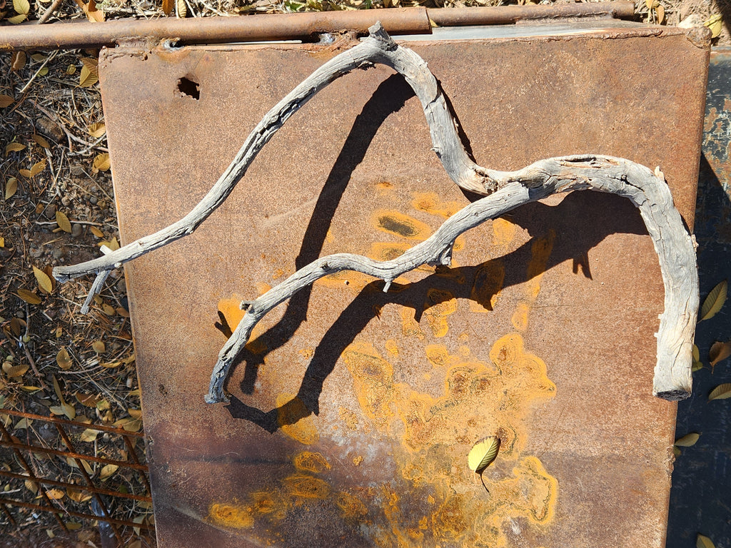 Raw, Naturally Weathered, Aged Pinon Branch For Crafts and Decor