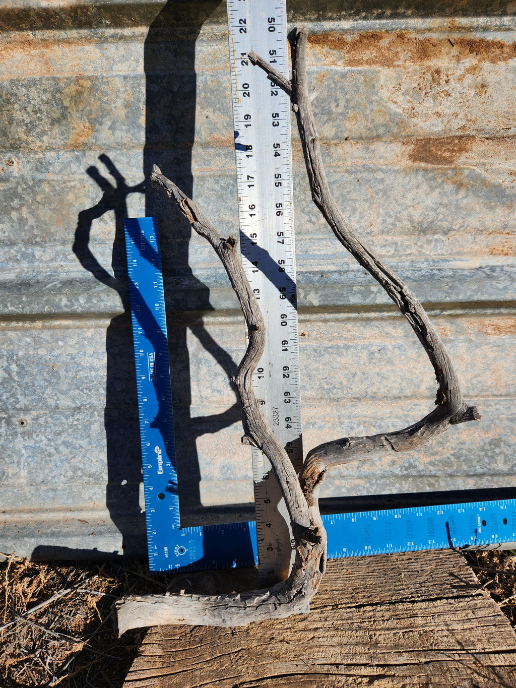 Raw, Naturally Weathered, Aged Pinon Branch For Crafts and Decor