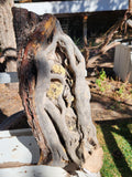 Raw, Aged Alligator Juniper Chunk with Bark and Lichen