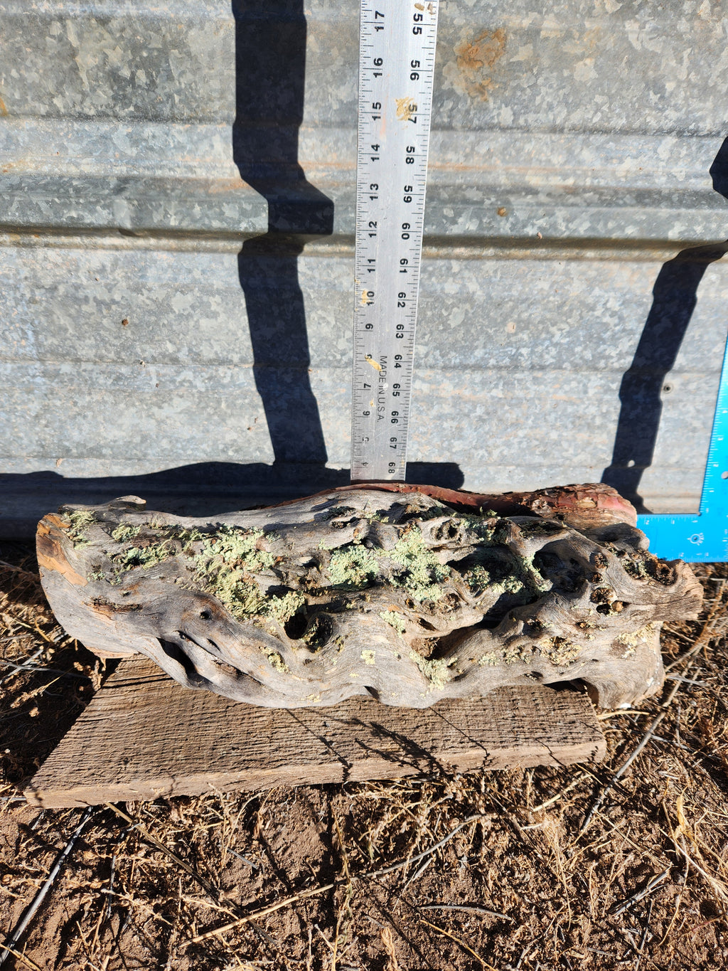 Raw, Aged Alligator Juniper Chunk with Bark and Lichen