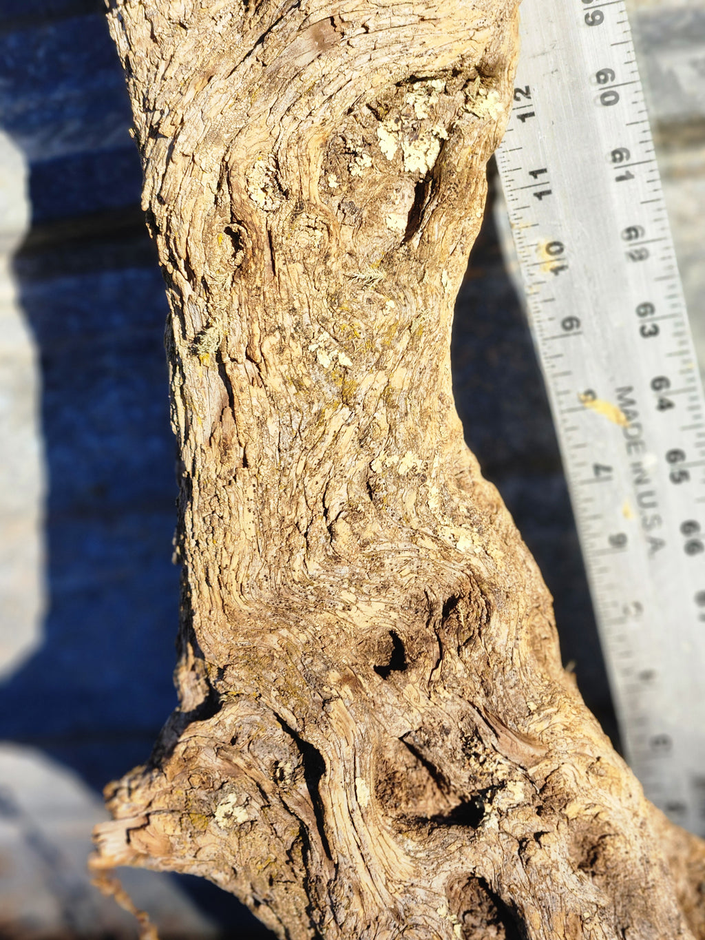 Raw Alligator Juniper Chunk with Living Lichens