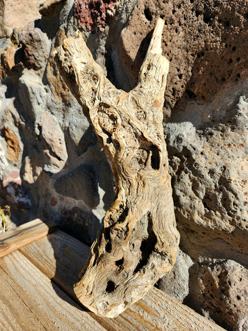 Raw Alligator Juniper Chunk with Living Lichens