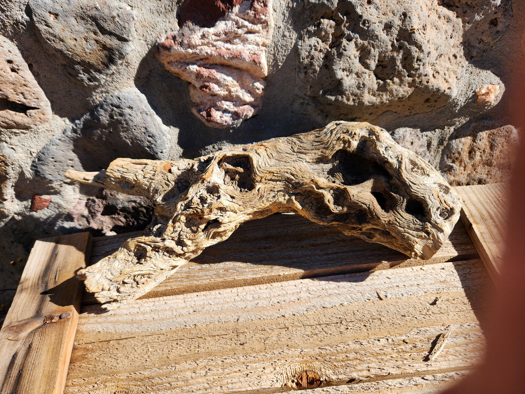 Raw Alligator Juniper Chunk with Living Lichens