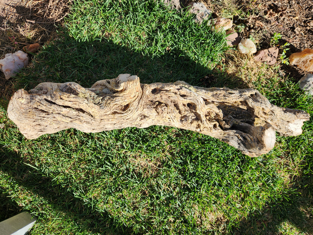 Alligator Juniper Chunk