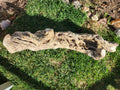 Alligator Juniper Chunk