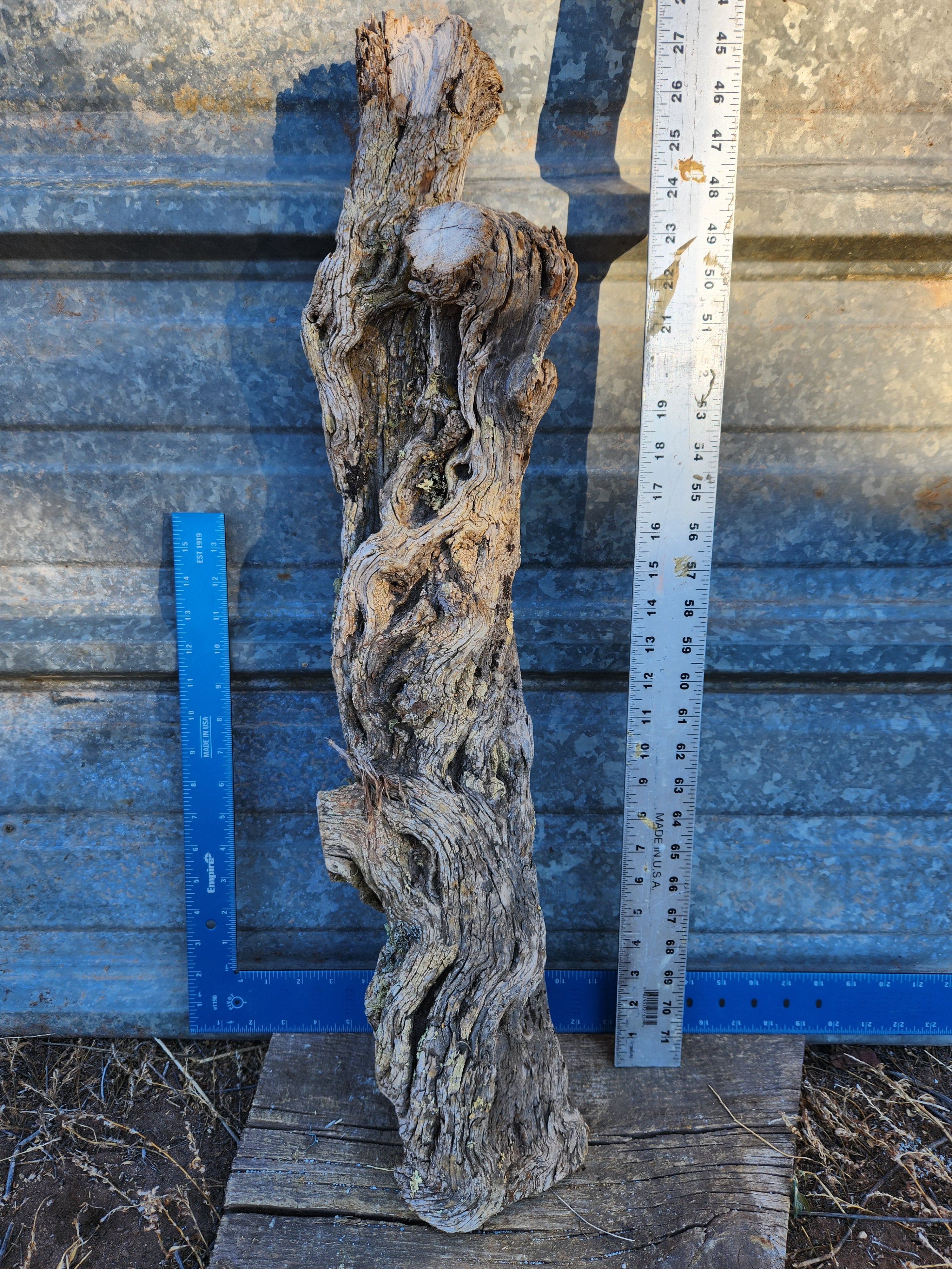 Alligator Juniper Chunk