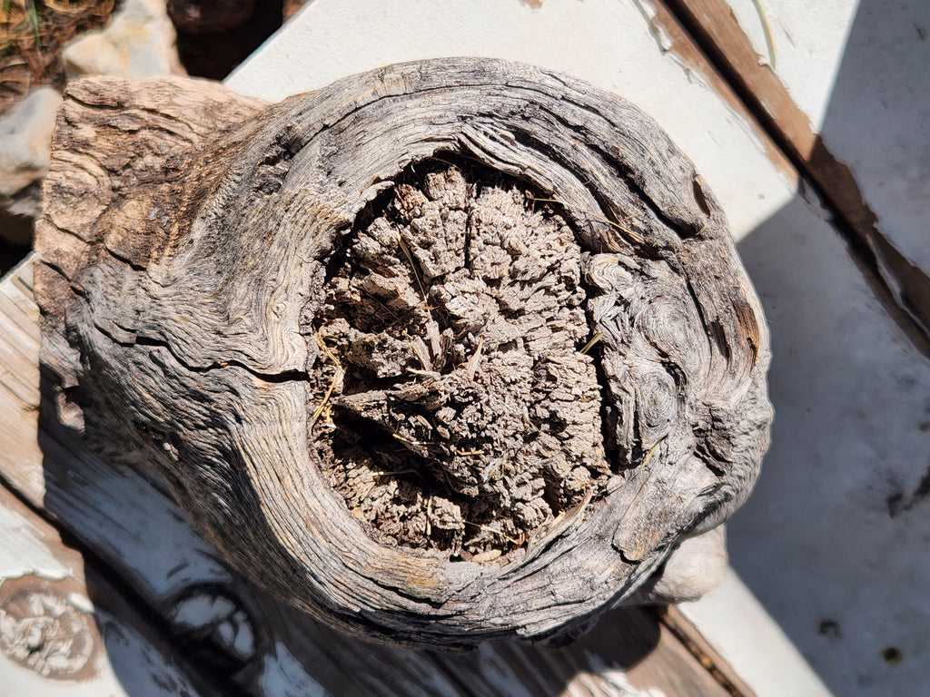 Raw, Aged Oak Knot with Burl for Crafts and Decor