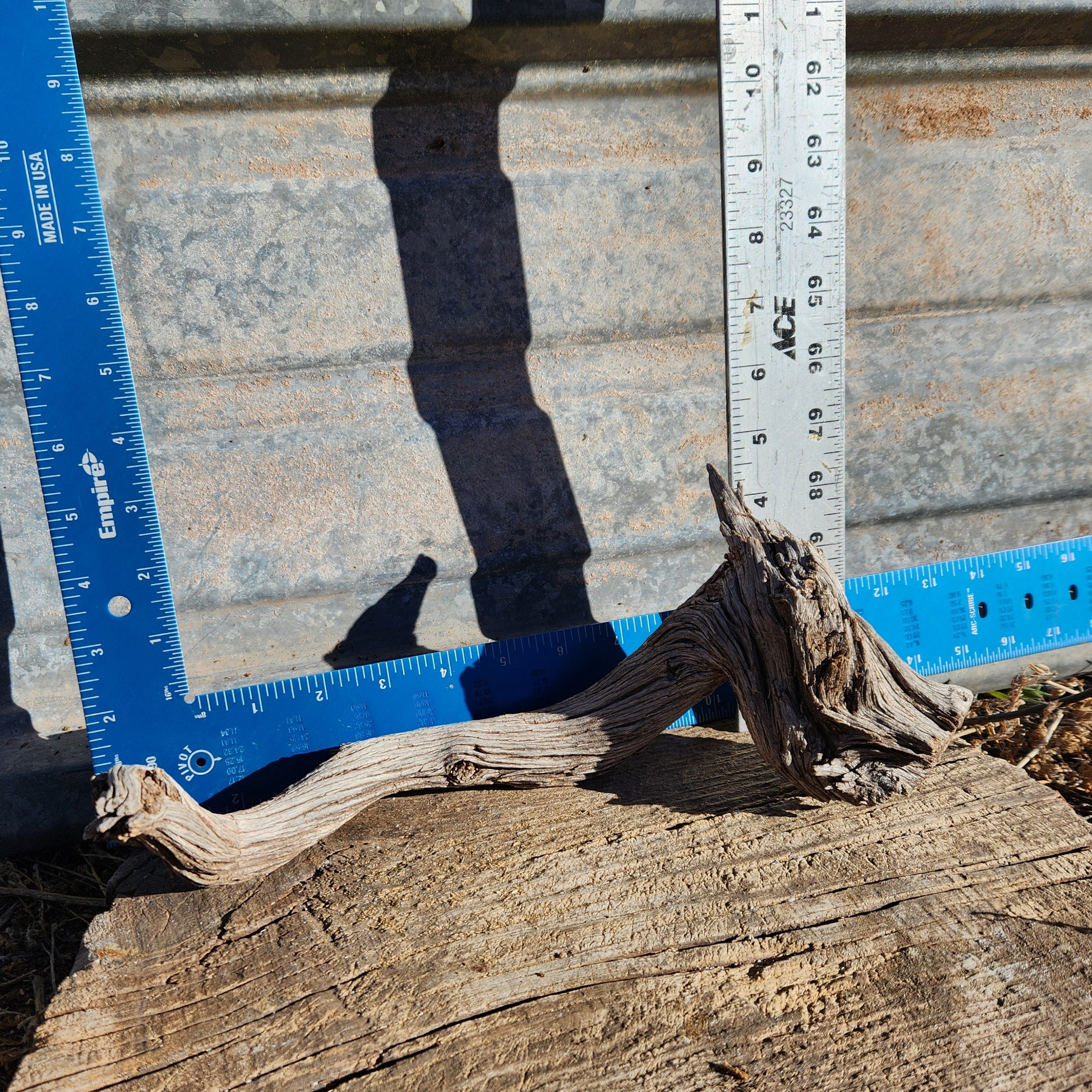 Twisted Juniper Stick for Decor and Crafts